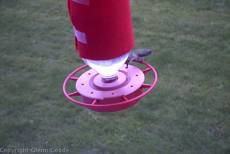 Image015