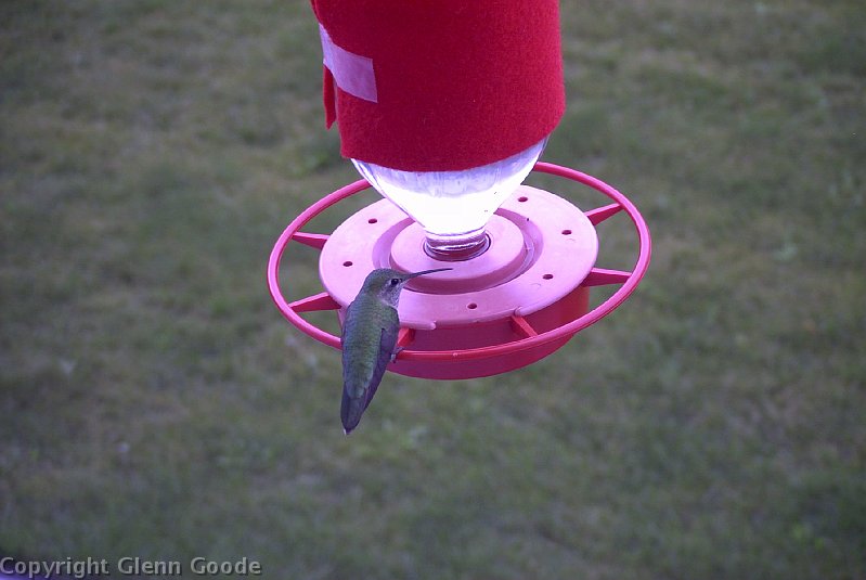 Image019