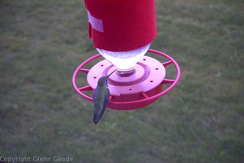 Image020