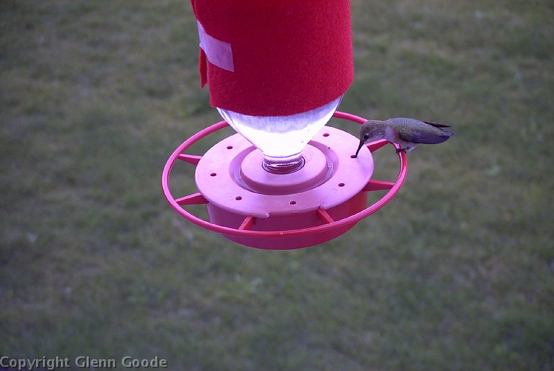 Image026