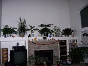 100_0519