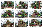 c-CincyGreenhouse