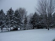 100_0868