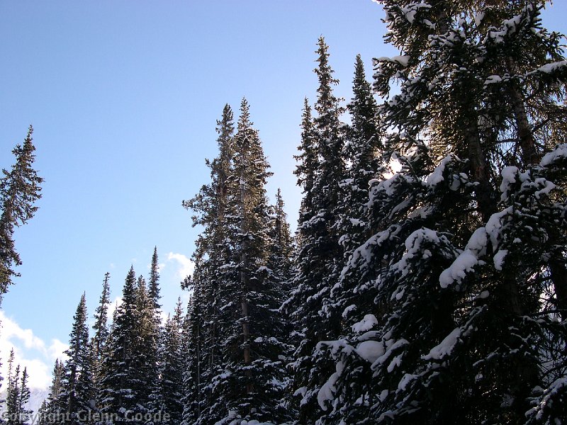DSCN2167