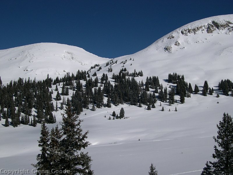 DSCN2181