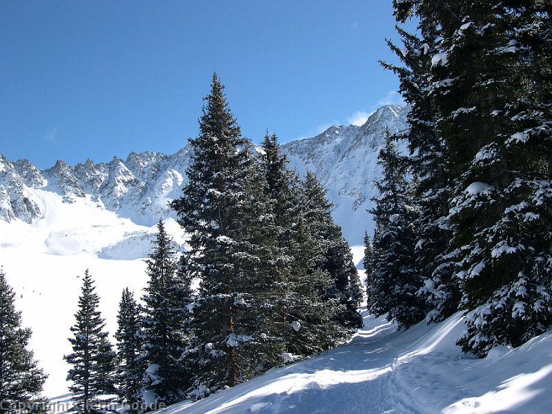 DSCN2185
