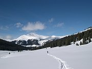 DSCN2222