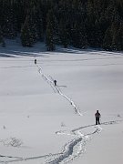 DSCN2224