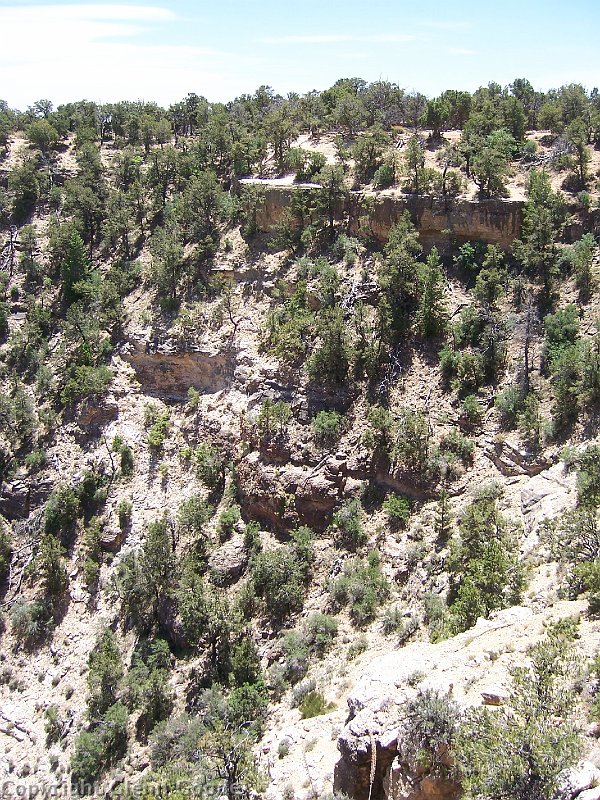2006-05-19216