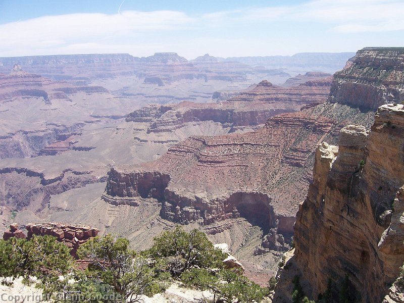 2006-05-19219