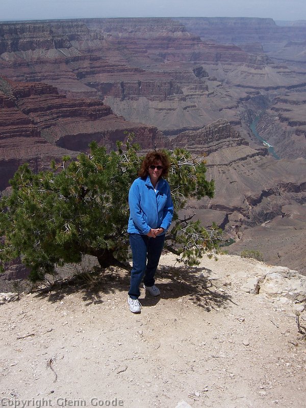 2006-05-19227
