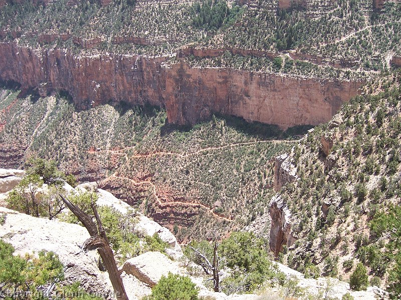 2006-05-19240