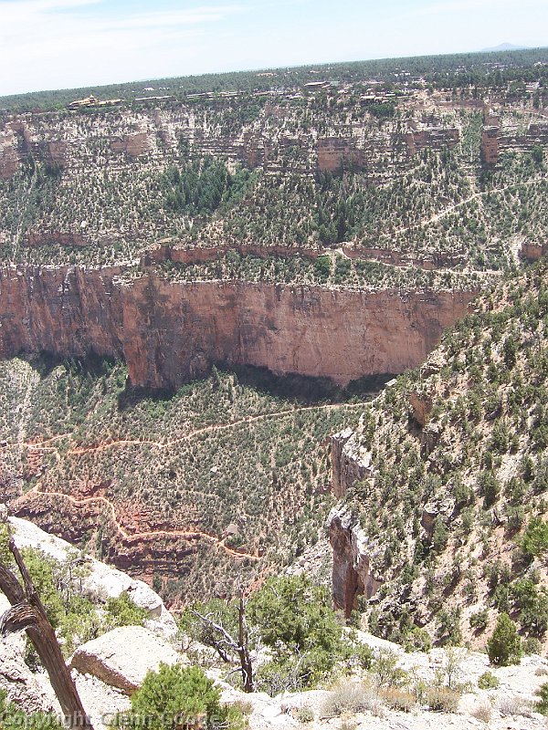 2006-05-19241