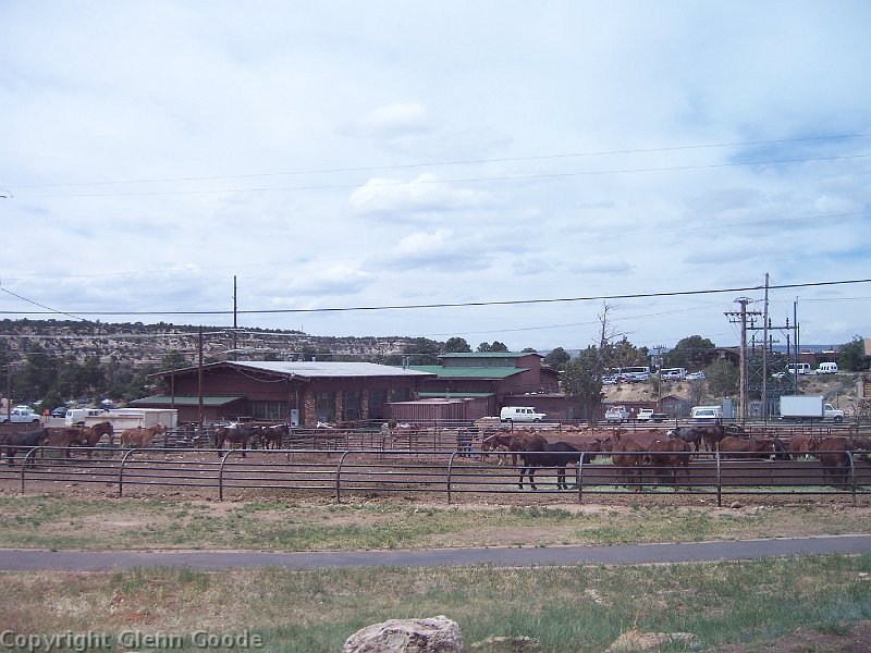 2006-05-19259