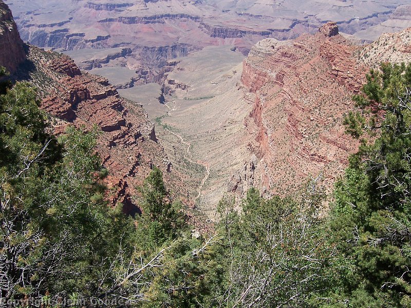 2006-05-19306