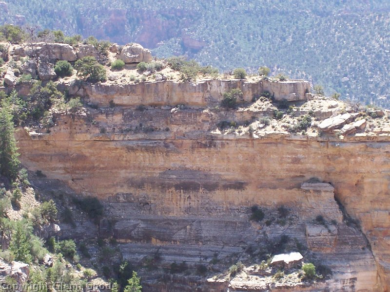 2006-05-19317