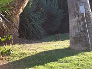 2006-05-19137