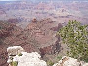 2006-05-19270