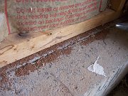 2006-10-15-bugs-in-garage