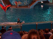 2006-11-25-san-antonio