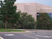 2007-07-16-foxes-at-usaa