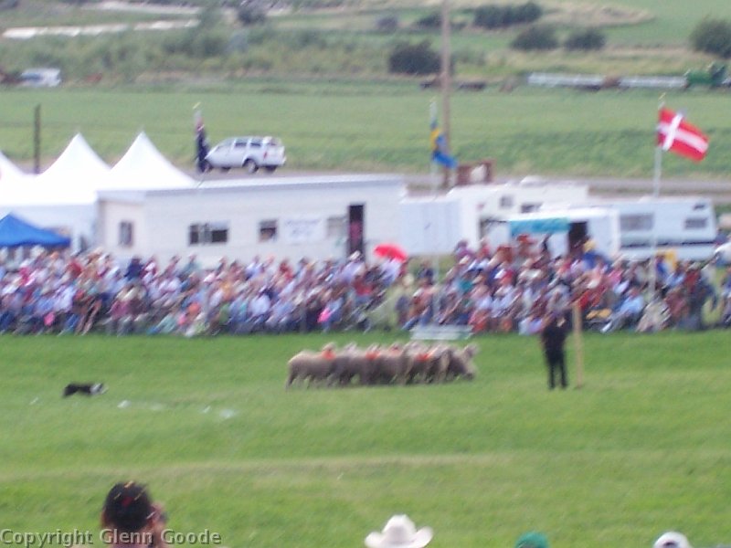 100_3080