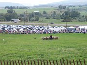 2007-09-09-meeker-sheepdog-trials