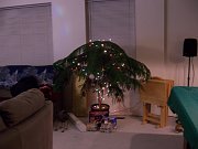 2007-12-18-Principal_party