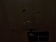 2008-02-13-freeflight