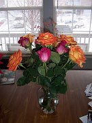 2008-02-14-vd-day