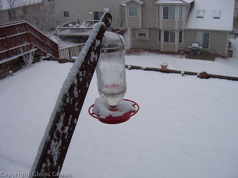 snow