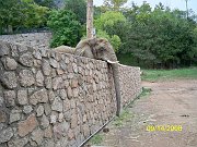 2008-09-14-elephants!