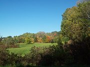 2008-10-13-lex-NY