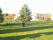 100_0245