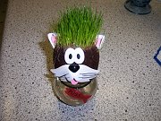 2008-11-22-puss-plant