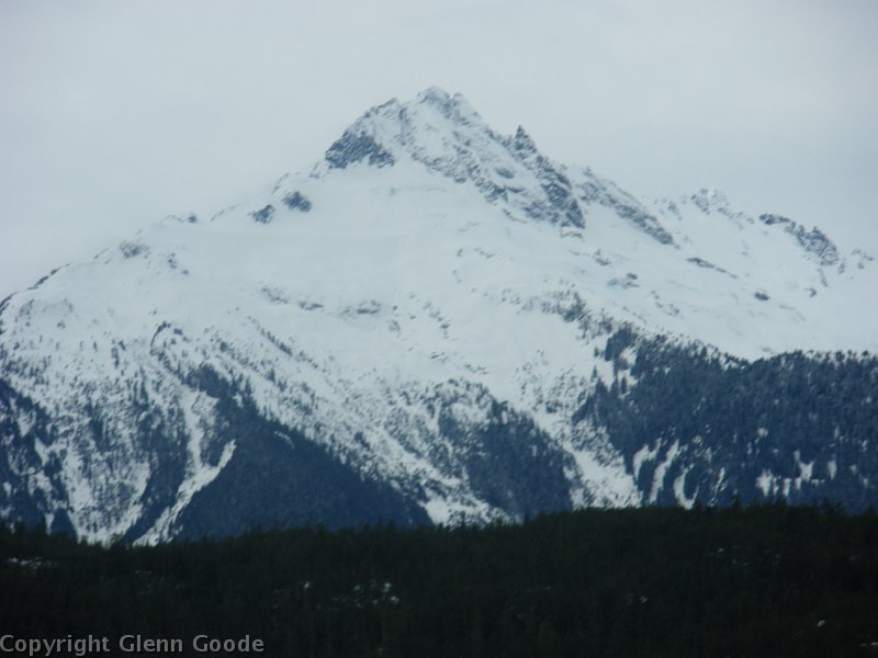 IMGP0381