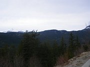 2009-03-08