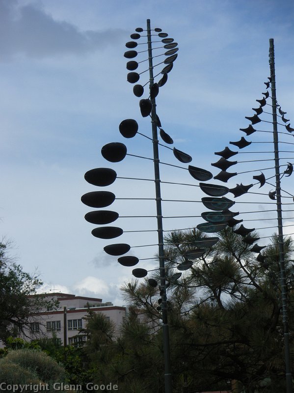 IMGP0466