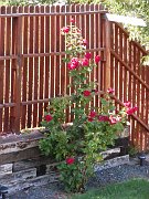 2009-09-19-posts
