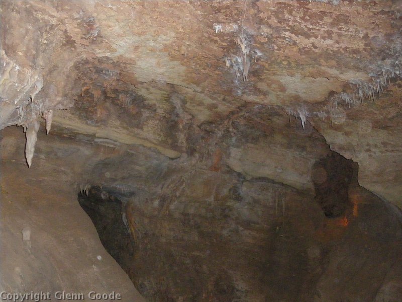 IMGP0695