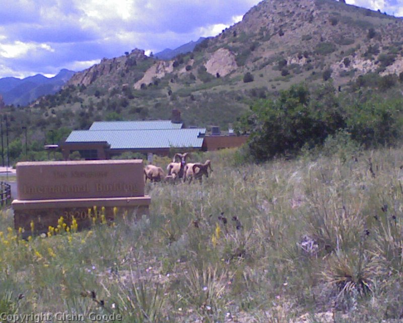 Photo_062709_004