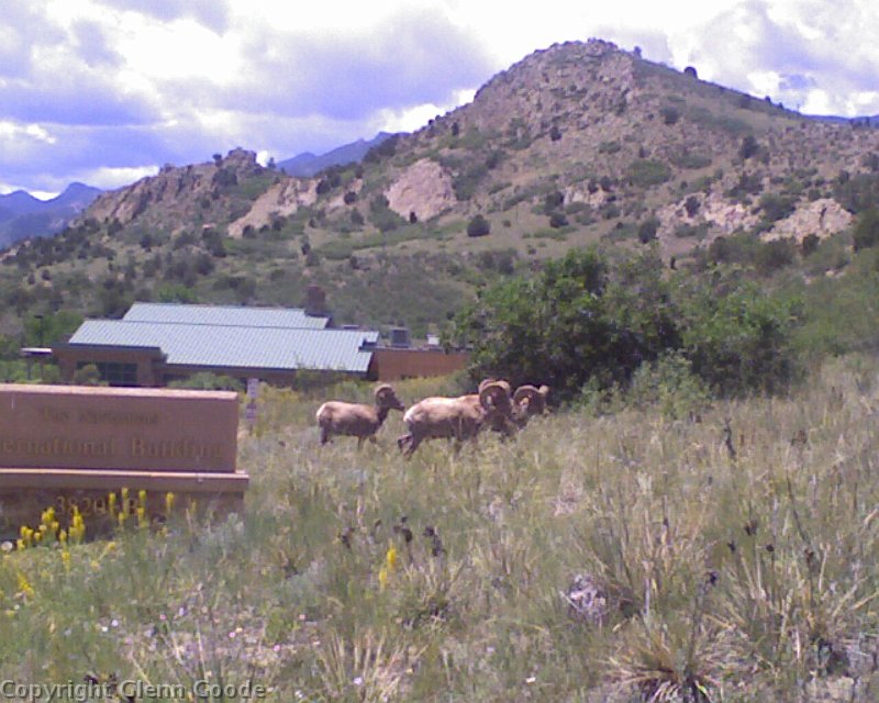 Photo_062709_005