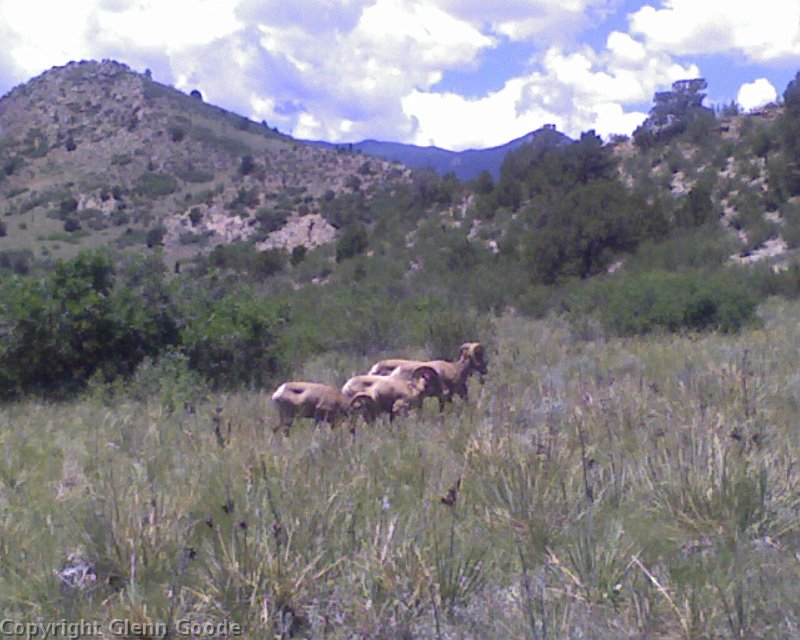 Photo_062709_006