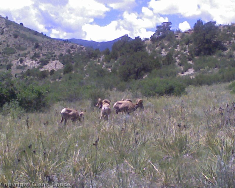 Photo_062709_007
