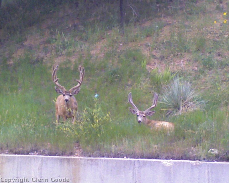 Photo_080509_001