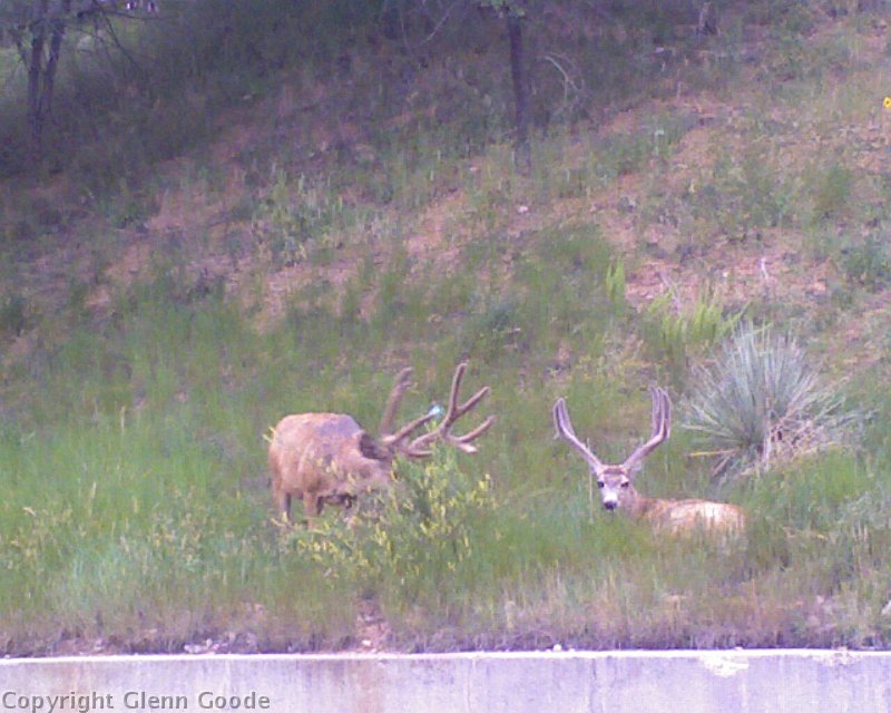 Photo_080509_002