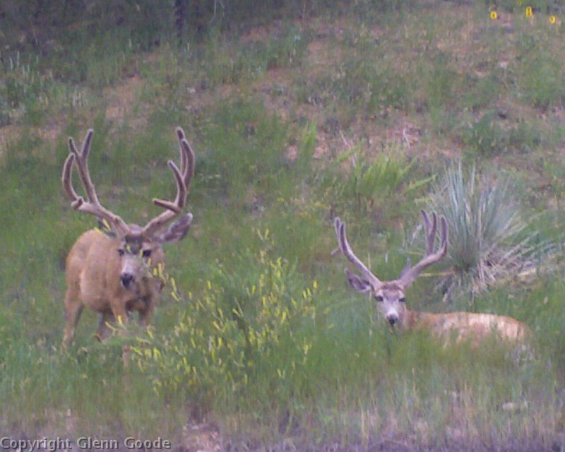 Photo_080509_003