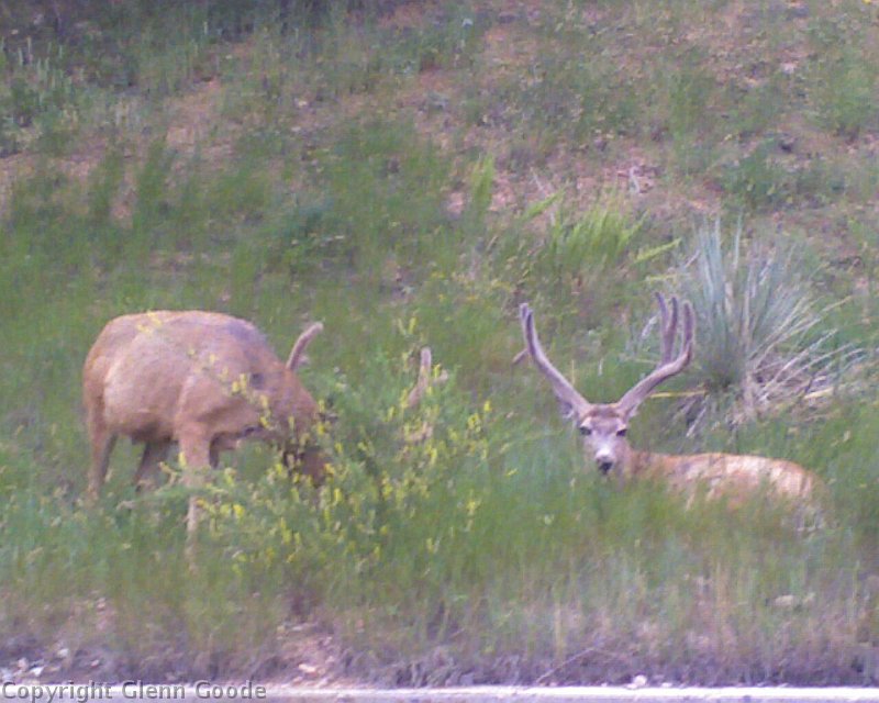 Photo_080509_004