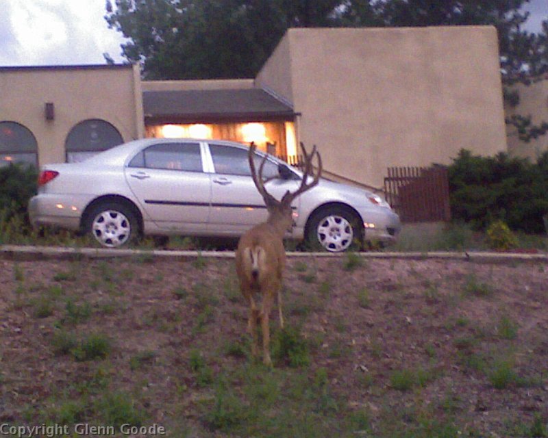 Photo_080509_006