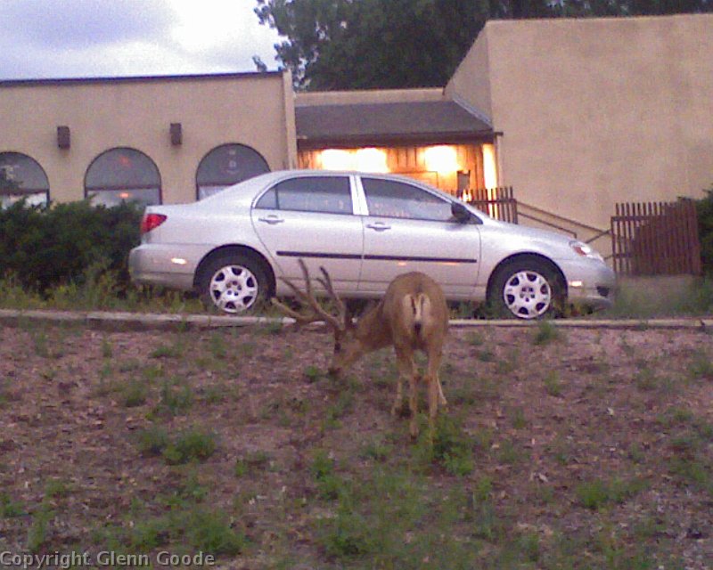 Photo_080509_007